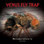 Venus Fly Trap : Metamorphosis
